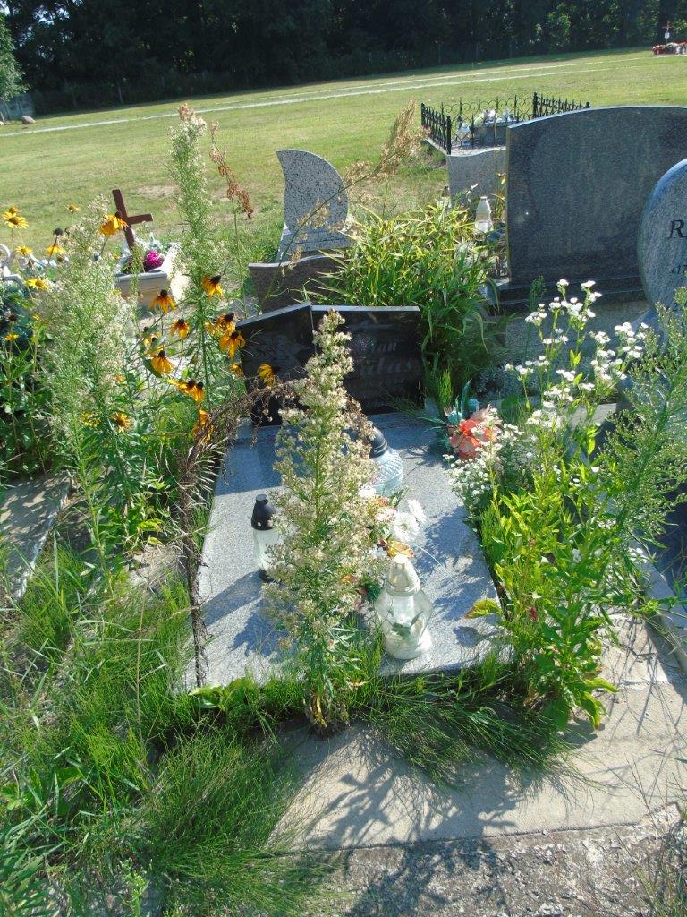 Marian HAŁAŚ 1954 Trzebnica Koczurki - Grobonet - Wyszukiwarka osób pochowanych