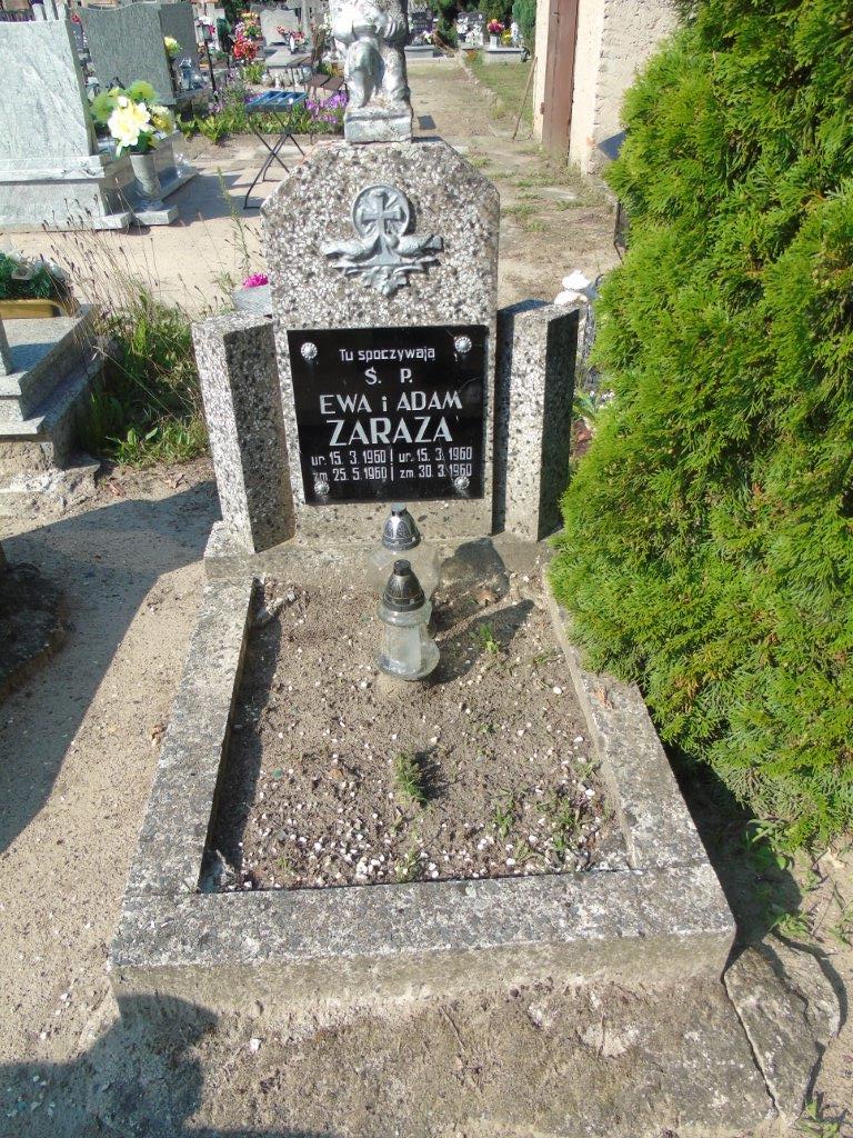 Ewa ZARAZA 1960 Trzebnica Koczurki - Grobonet - Wyszukiwarka osób pochowanych