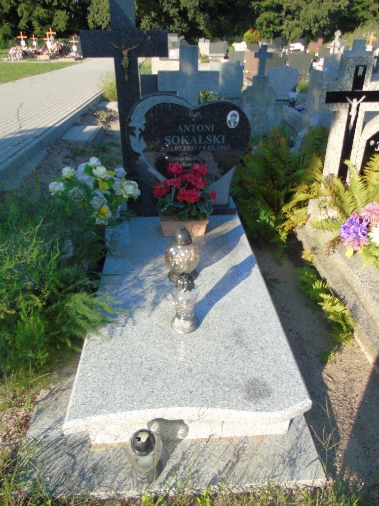 Antoni SOKALSKI 1937 Trzebnica Koczurki - Grobonet - Wyszukiwarka osób pochowanych