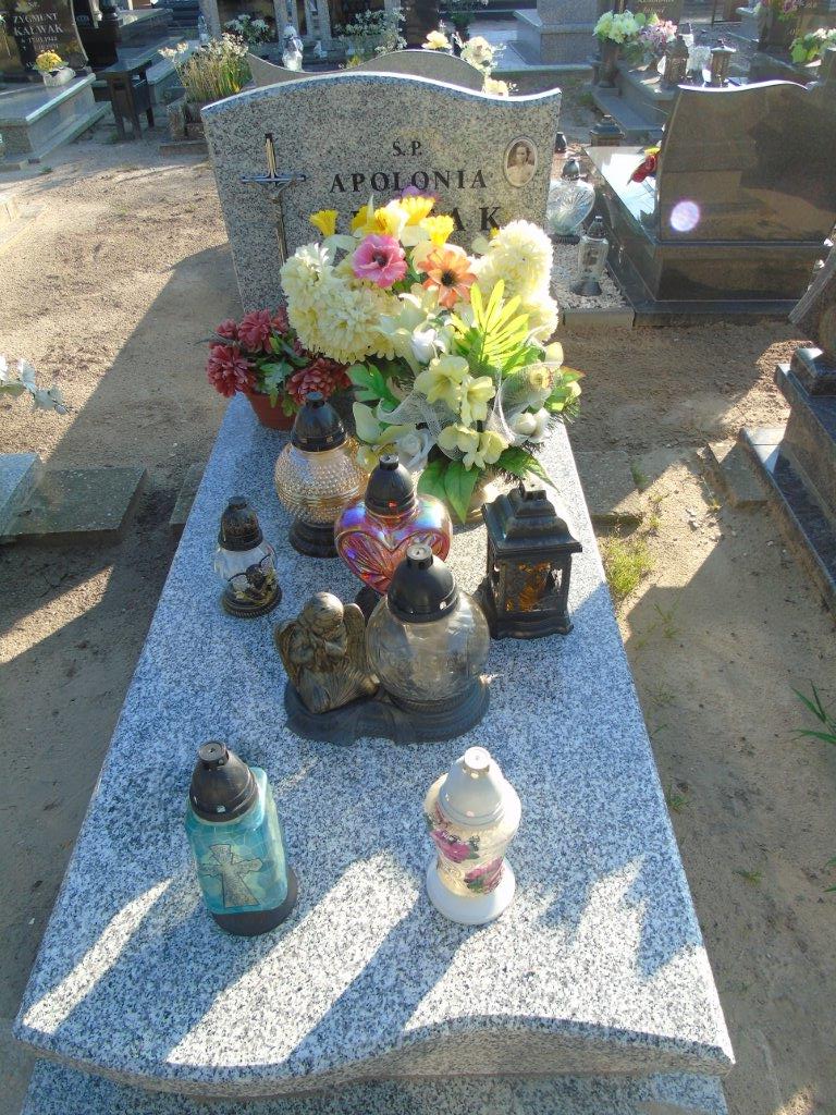 Apolonia REPTAK 1914 Trzebnica Koczurki - Grobonet - Wyszukiwarka osób pochowanych